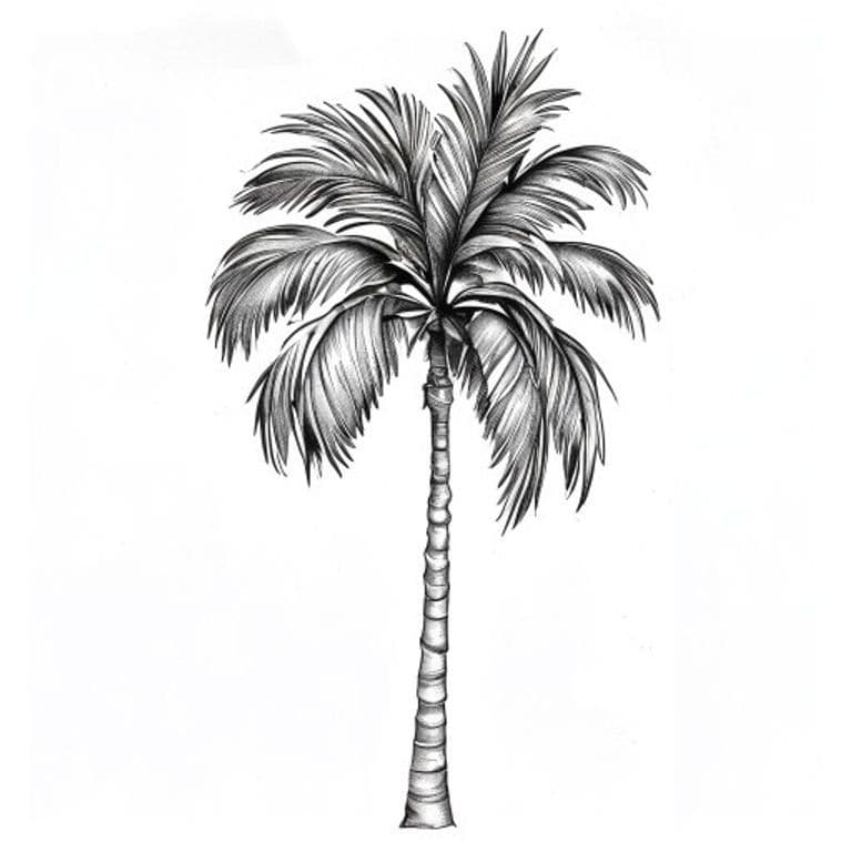Palm tree tattoo direction