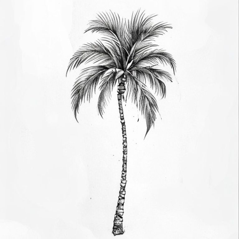 Palm Tree tattoo design — dotwork shading style